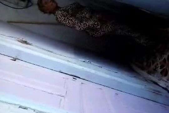  XXX - Moroccan slut - Nwara